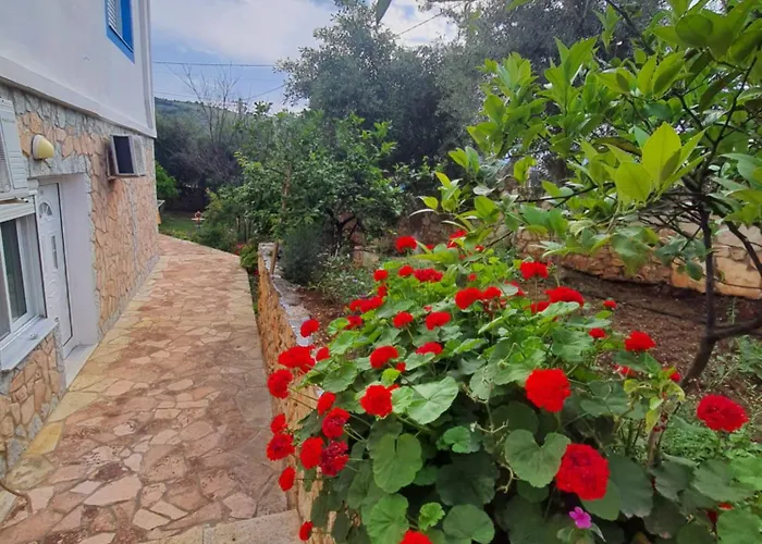 Πανσιόν Albi 3*